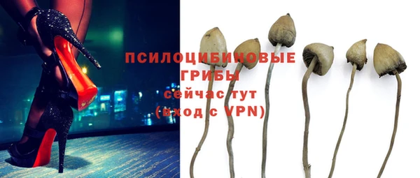 МДПВ Няндома