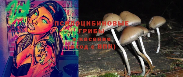 мет Нязепетровск