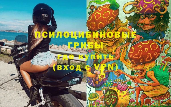 ПСИЛОЦИБИНОВЫЕ ГРИБЫ Нягань