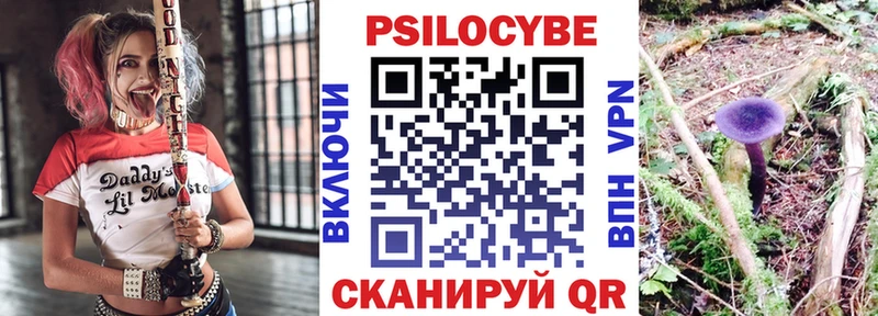 shop как зайти  Михайловск  Галлюциногенные грибы Magic Shrooms 